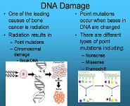 Bone Cancer PowerPoint Presentation