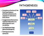 preterm labour PowerPoint Presentation Notes