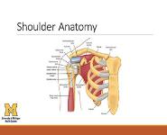 Evaluation of The Painful Shoulder PowerPoint Presentation Notes