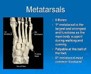 Foot and Ankle Anatomy and Injuries PowerPoint Presentation Notes