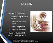 Lateral and Medial Epicondylitis PowerPoint Presentation