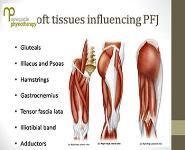 Pattelo-Femoral Joint Dysfunction PowerPoint Presentation