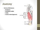 Quadriceps and Patellar Tendon Injuries
