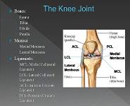 Knee Injuries PowerPoint Presentation Notes
