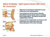 Spine Anatomy