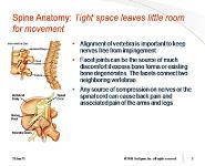 Spine Anatomy PowerPoint Presentation Notes