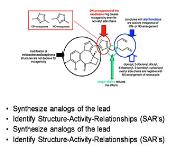 About Drug Discovery and Development PowerPoint Presentation