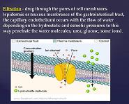 General Farmacology PowerPoint Presentation Notes