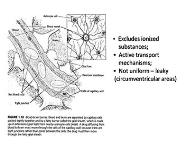 Pharmacology Basics PowerPoint Presentation Notes