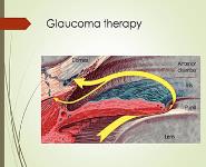 Pharmacology of The Eye PowerPoint Presentation Notes