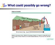 Polypharmacy in Older Adults PowerPoint Presentation Notes