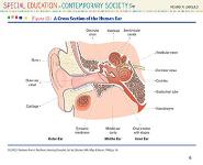 Individuals With Hearing Impairments PowerPoint Presentation Notes