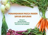 Penanganan Pasca Panen Sayur Sayuran