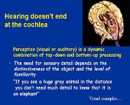 Bionic Hearing PowerPoint Presentation Notes