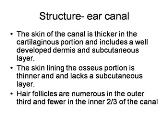 Ear Infections
