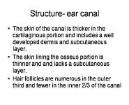 Ear Infections PowerPoint Presentation Notes