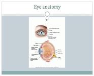 Eye Ear Nose and Throat Infections PowerPoint Presentation