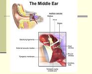 Middle Ear Disorders PowerPoint Presentation