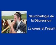 Neurobiologie PowerPoint Presentation Notes