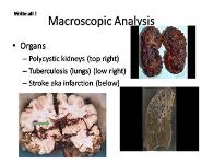 Forensic Pathology PowerPoint Presentation
