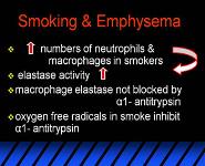 Organ Pathology-Respiratory System PowerPoint Presentation Notes