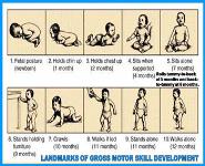 Physical Development PowerPoint Presentation Notes