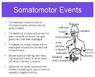 Approach to The Child With Nausea and Vomiting PowerPoint Presentation