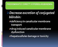 Clinical Approach to Neonatal Jaundice PowerPoint Presentation