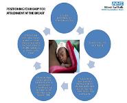 Infant Feeding Workshop PowerPoint Presentation Notes