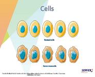 Oncology PowerPoint Presentation