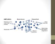 Hemodialysis PowerPoint Presentation