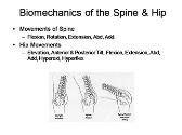Biomechanics of the Spine and Hip