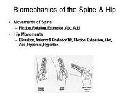 Biomechanics of the Spine and Hip PowerPoint Presentation