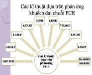 gfs PowerPoint Presentation Notes