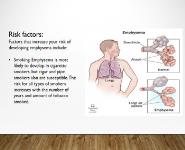 Obstructive Pulmonary Diseases PowerPoint Presentation