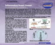 Inflammatory Bowel Disease PowerPoint Presentation Notes