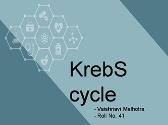 Krebs Cycle