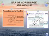Adrenergic Drugs