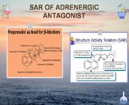 Adrenergic Drugs PowerPoint Presentation