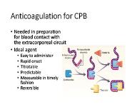 Coagulation Monitoring and ROTEM PowerPoint Presentation