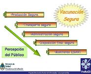 Vacunacion Segura Y Bioseguridad PowerPoint Presentation Notes
