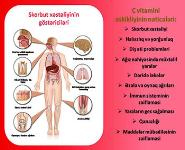 About Vitamin C PowerPoint Presentation