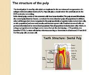 The structure of the dentin-pulp complex PowerPoint Presentation