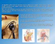 Menical Anglicisms PowerPoint Presentation