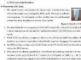 DNA Extraction Practical