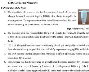 DNA Extraction Practical PowerPoint Presentation