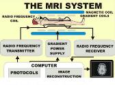 Magnetic Resonance Imaging