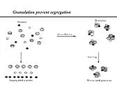 Granulation