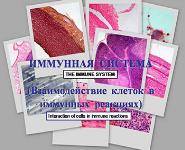 The Immune System PowerPoint Presentation