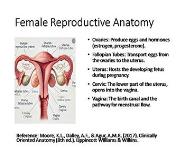 Introduction to Gynecology: Scope, Common Conditions, and Preventive Care PowerPoint Presentation Notes